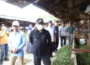 PJ Bupati PPU Fokus Pemanfaatan Limbah Sapi di Poktan Lestari
