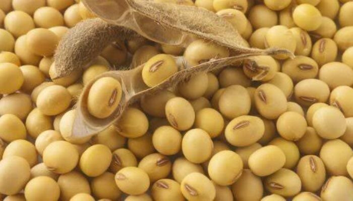 Ketika Harga Kedelai Naik, Dapur Rakyat yang Menanggung